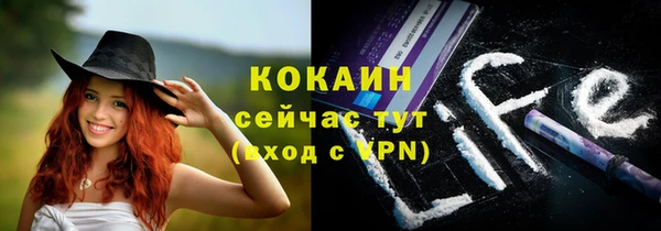 мяу мяу мука Кулебаки